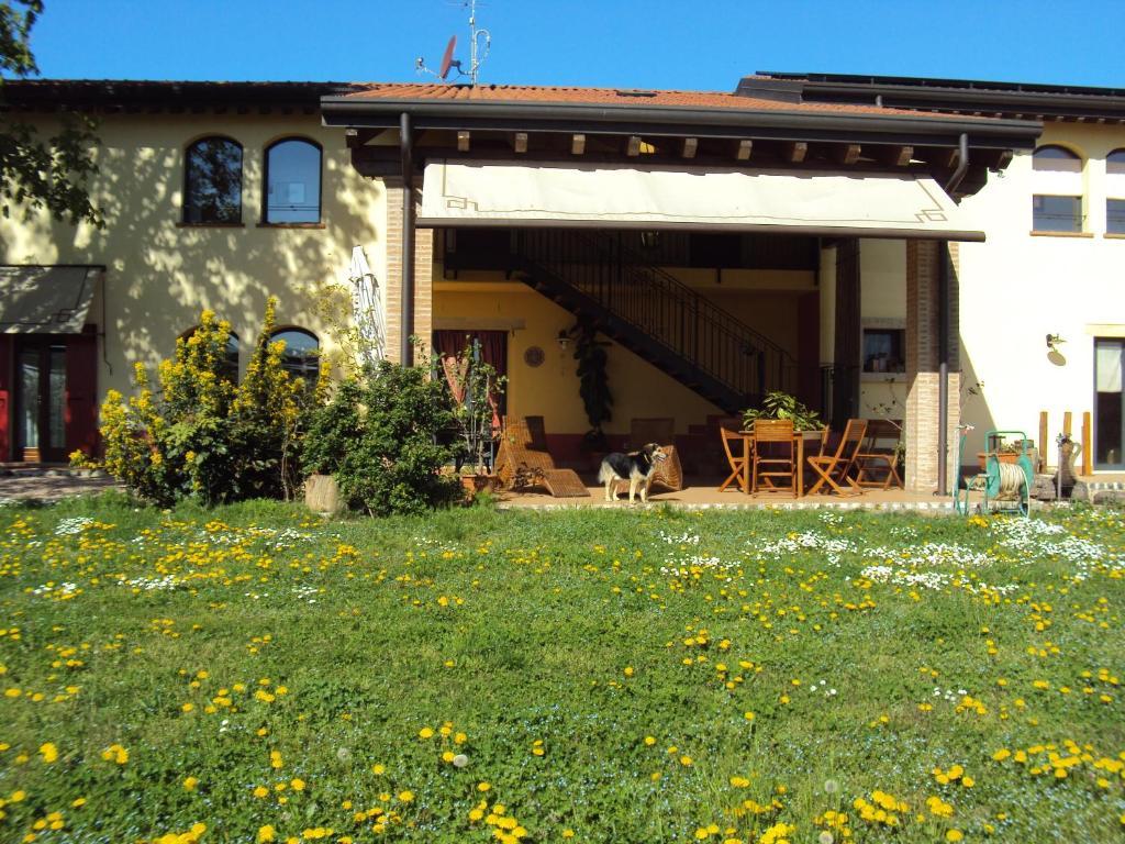 Agriturismo Ca' Del Ferro 제비오 외부 사진